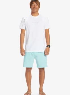 Mens Quiksilver Boardshorts|Ocean Elastic Waist 18