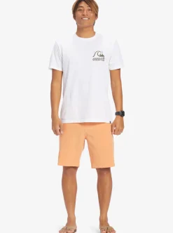 Mens Quiksilver Boardshorts|Ocean Union Amphibian 20