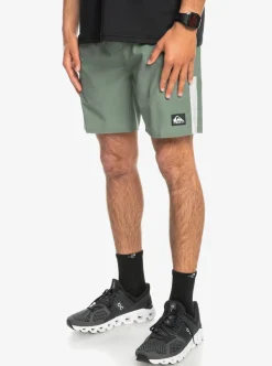 Mens Quiksilver Boardshorts|Omni 17