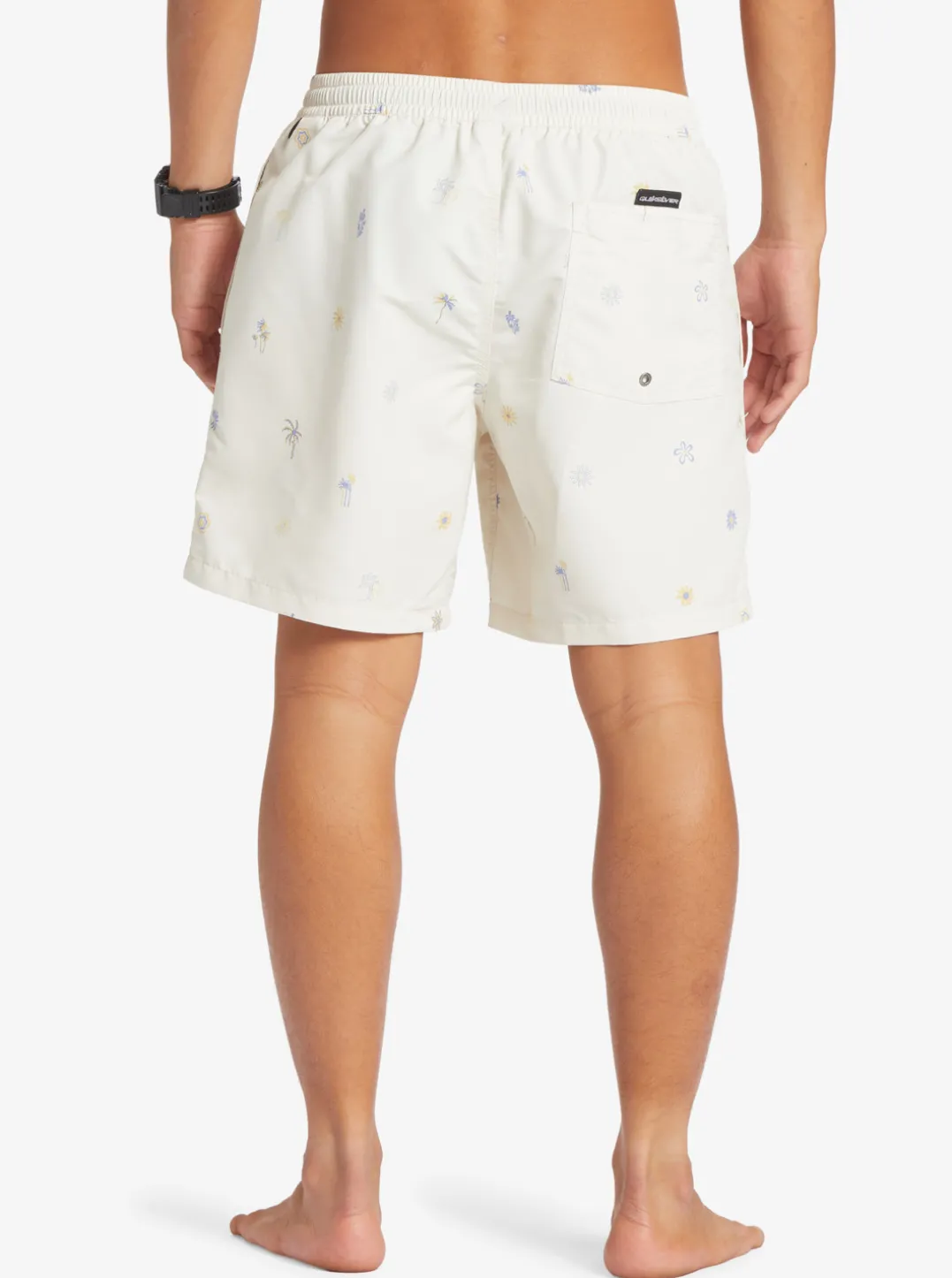 Mens Quiksilver Boardshorts|Re-Mix 17" Volleys