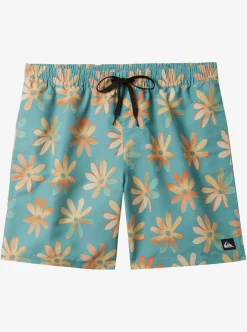 Mens Quiksilver Boardshorts|Re-Mix 17" Volleys