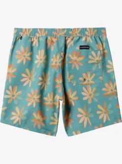 Mens Quiksilver Boardshorts|Re-Mix 17" Volleys