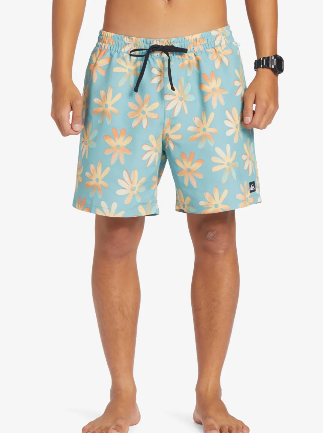 Mens Quiksilver Boardshorts|Re-Mix 17" Volleys
