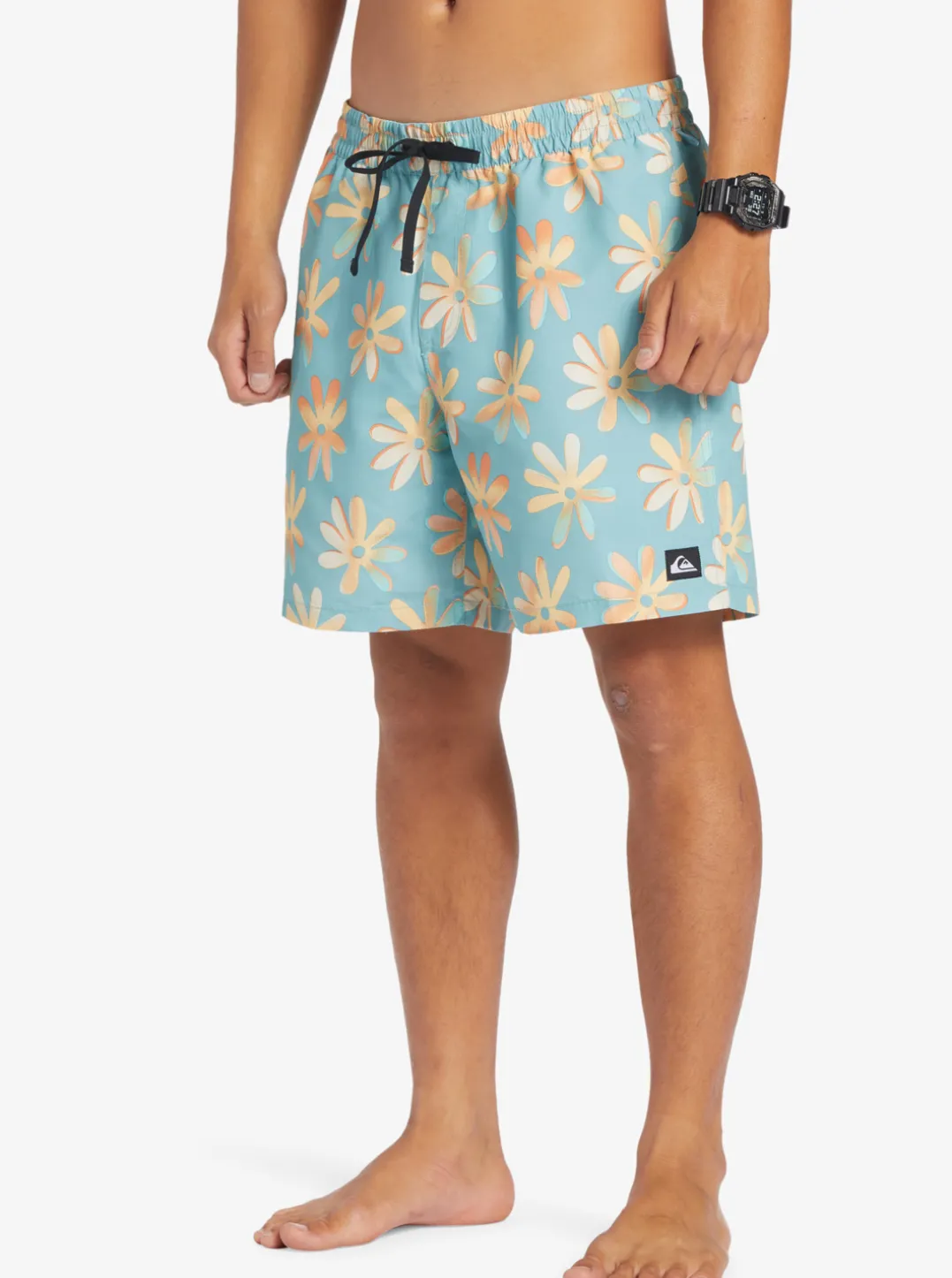 Mens Quiksilver Boardshorts|Re-Mix 17" Volleys