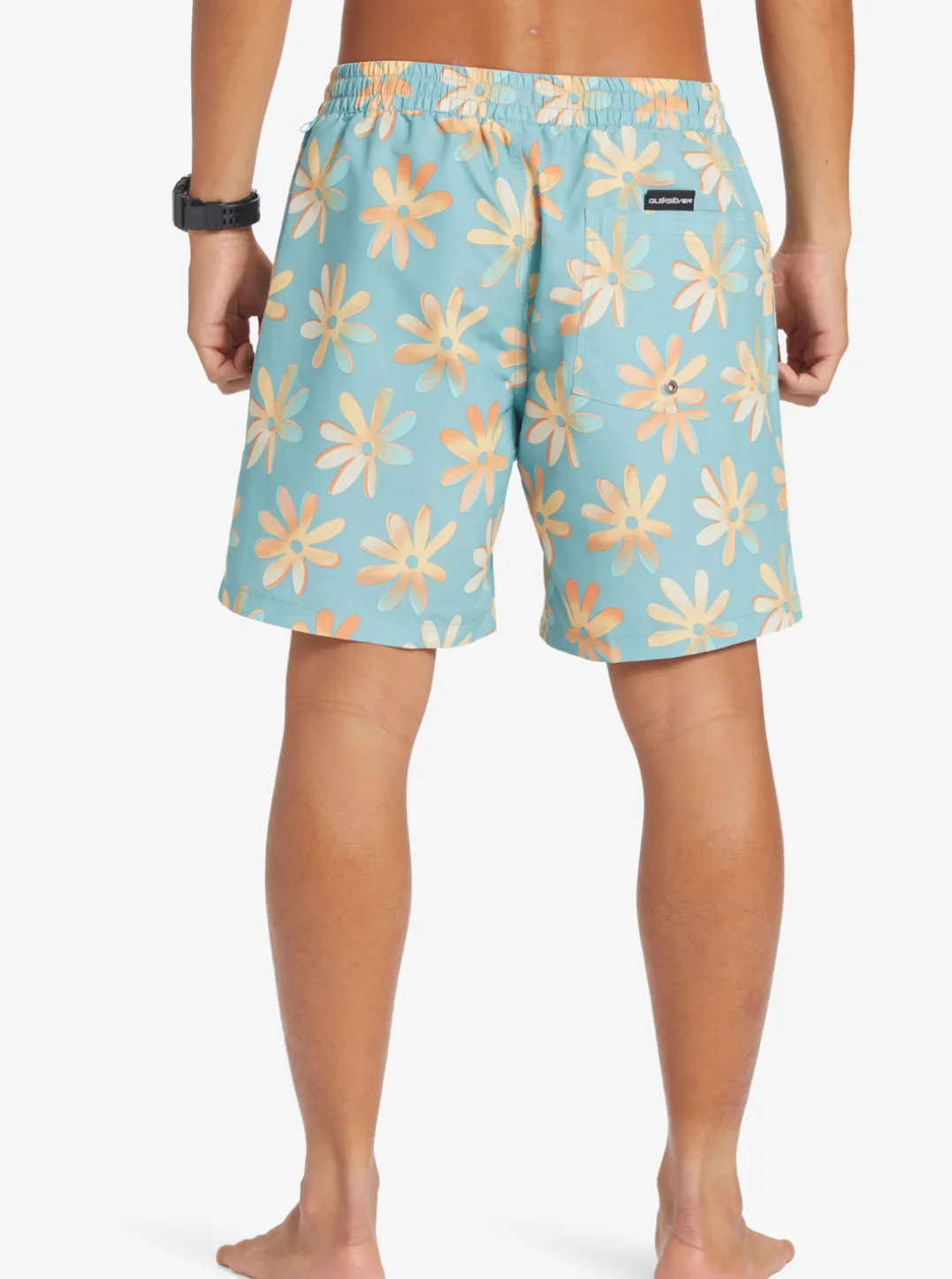 Mens Quiksilver Boardshorts|Re-Mix 17" Volleys
