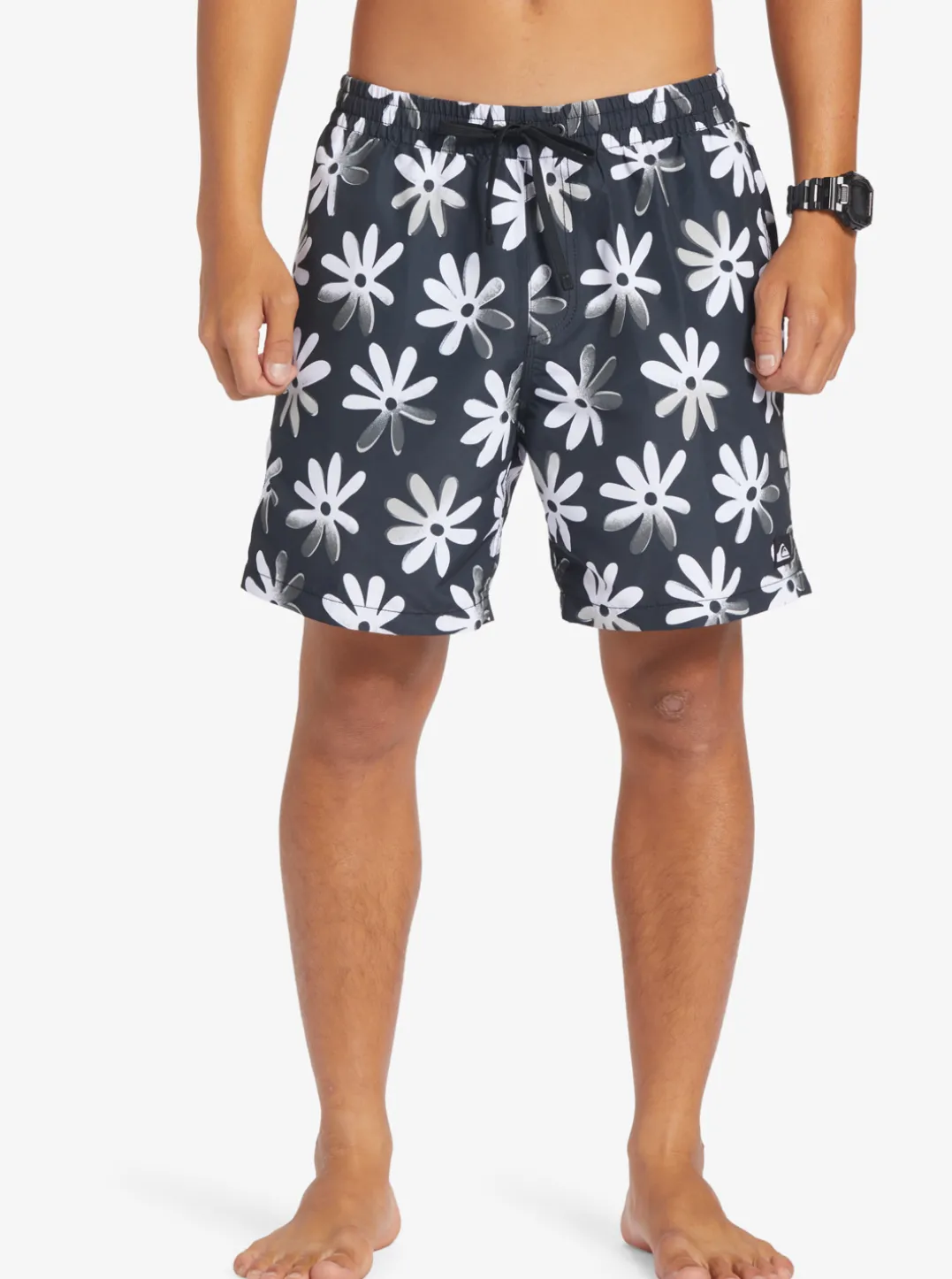 Mens Quiksilver Boardshorts|Re-Mix 17" Volleys