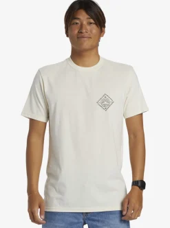 Mens Quiksilver Tees|Scenic View T-Shirt
