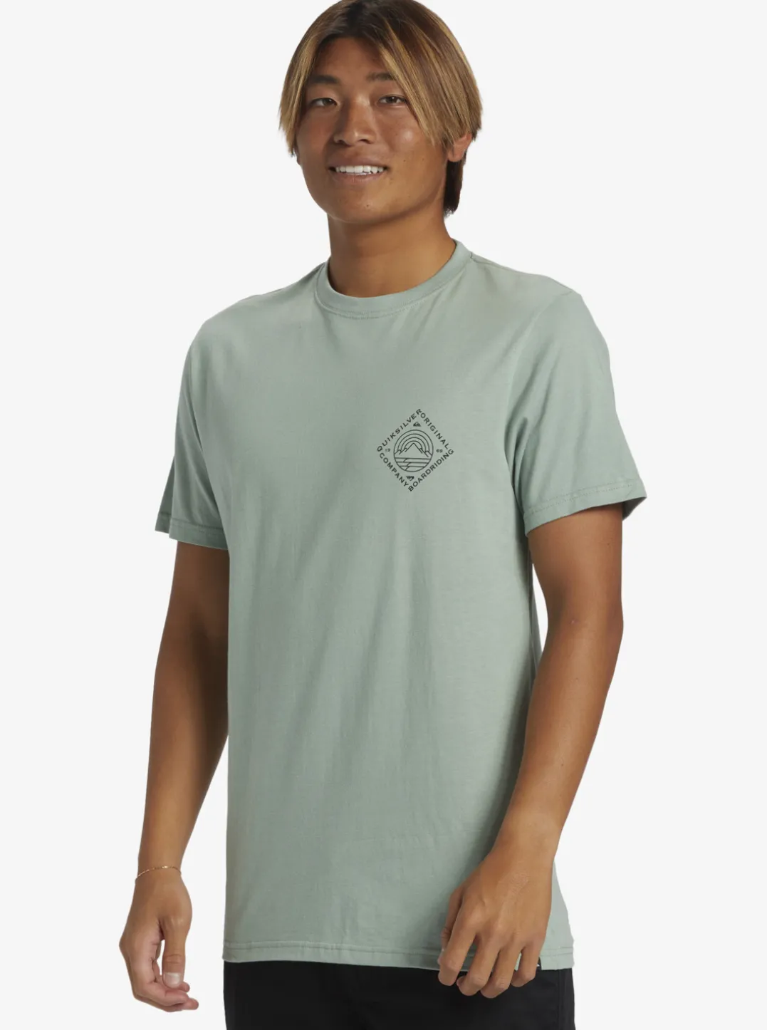 Mens Quiksilver Tees|Scenic View T-Shirt