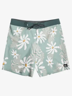 Mens Quiksilver Boardshorts|Surfsilk 69 18" Boardshorts