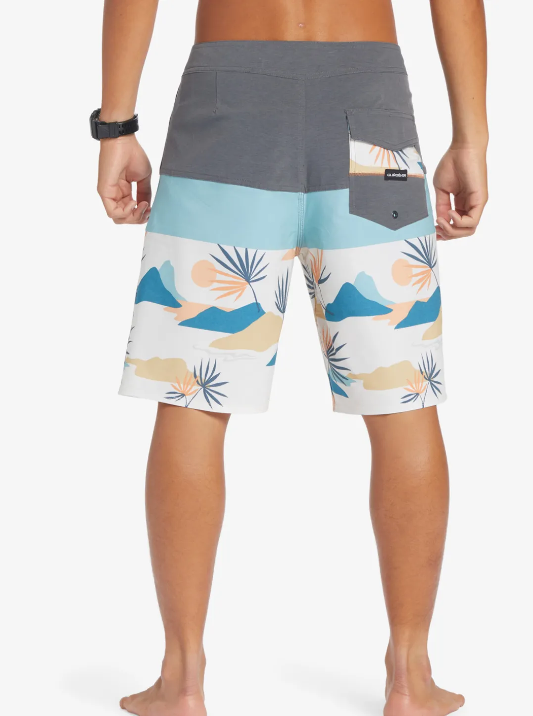 Mens Quiksilver Boardshorts|Surfsilk Panel 20" Boardshorts