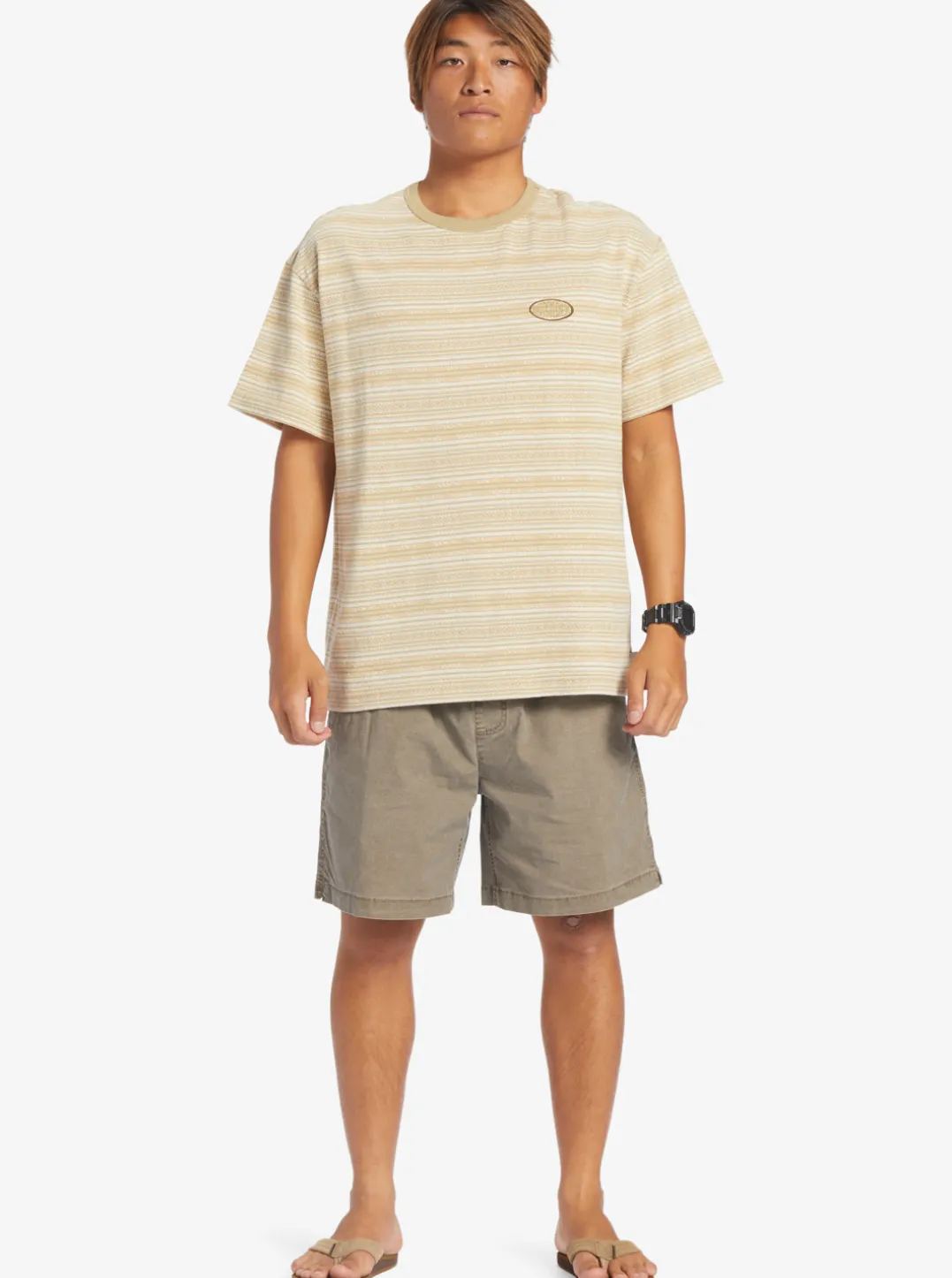 Mens Quiksilver Shorts & Amphibians|Taxer Elastic Waist Shorts