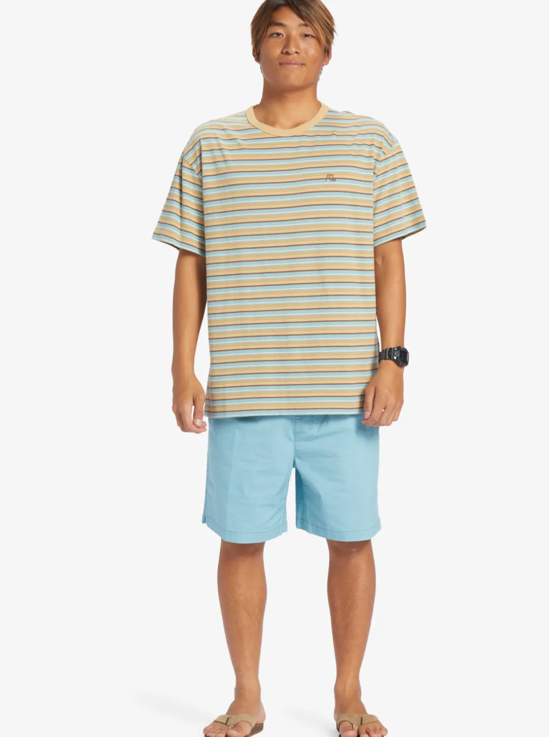 Mens Quiksilver Shorts & Amphibians|Taxer Elastic Waist Shorts