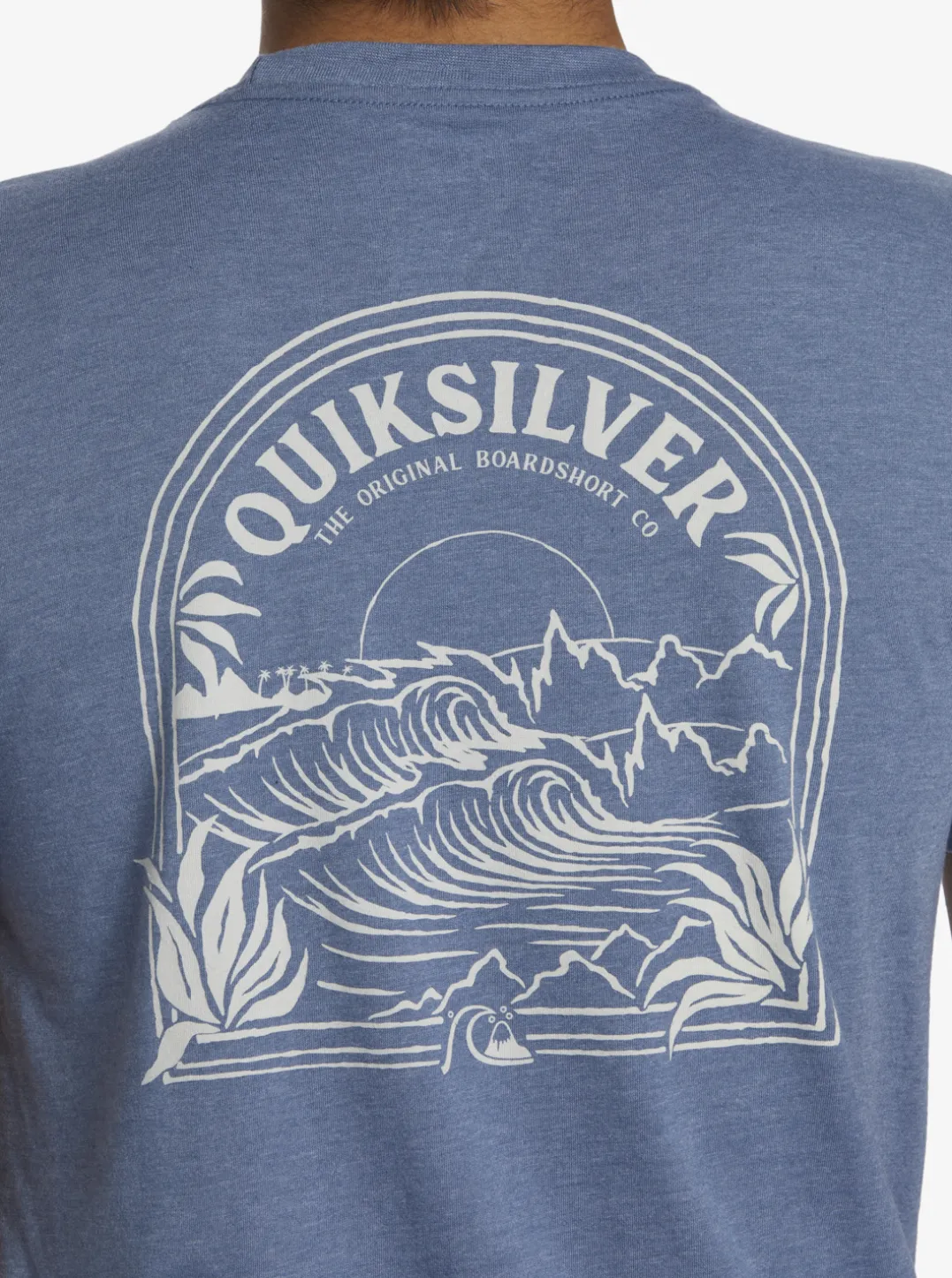 Mens Quiksilver Tees|Valley Of Dreams T-Shirt
