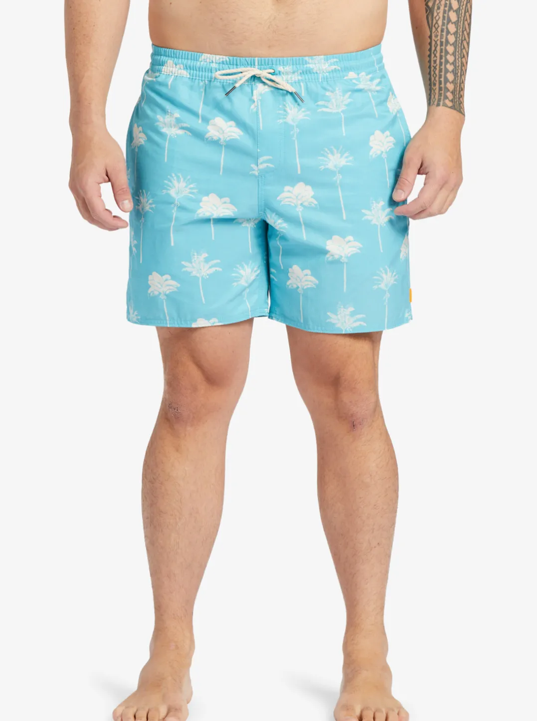 Mens Quiksilver Elastic Waist|Waterman Cliffside 17" Elastic Waist Shorts