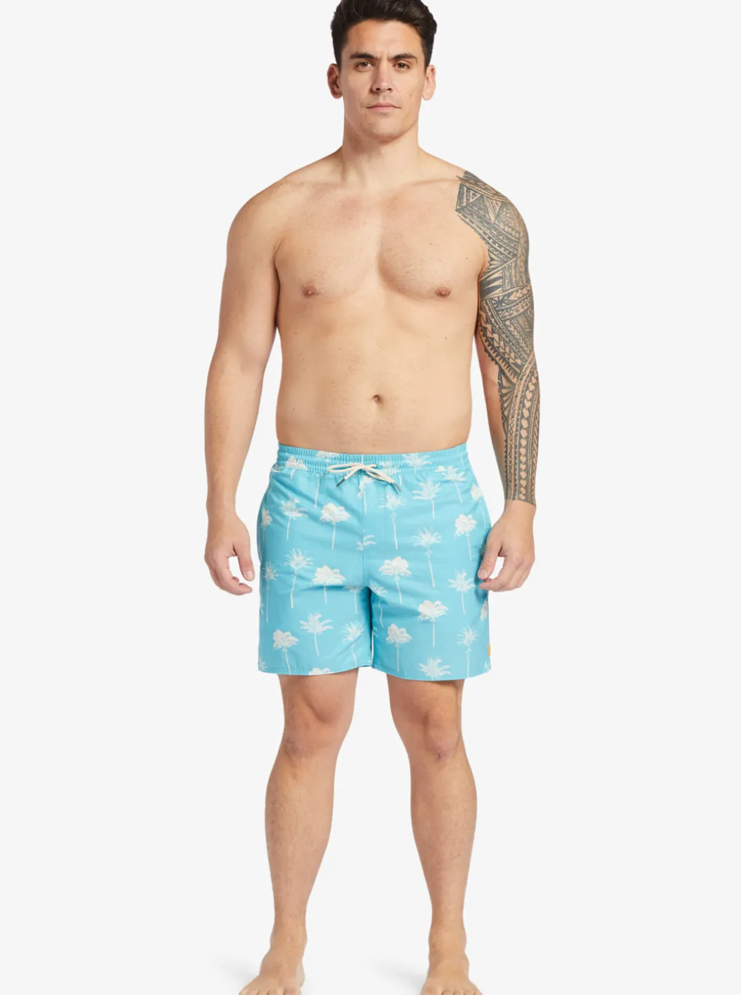Mens Quiksilver Elastic Waist|Waterman Cliffside 17" Elastic Waist Shorts