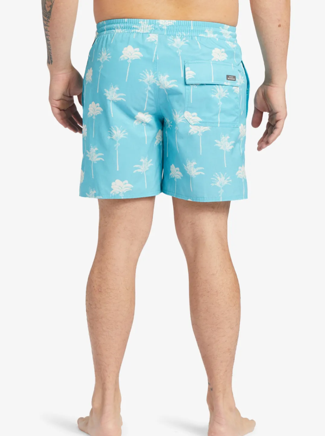 Mens Quiksilver Elastic Waist|Waterman Cliffside 17" Elastic Waist Shorts