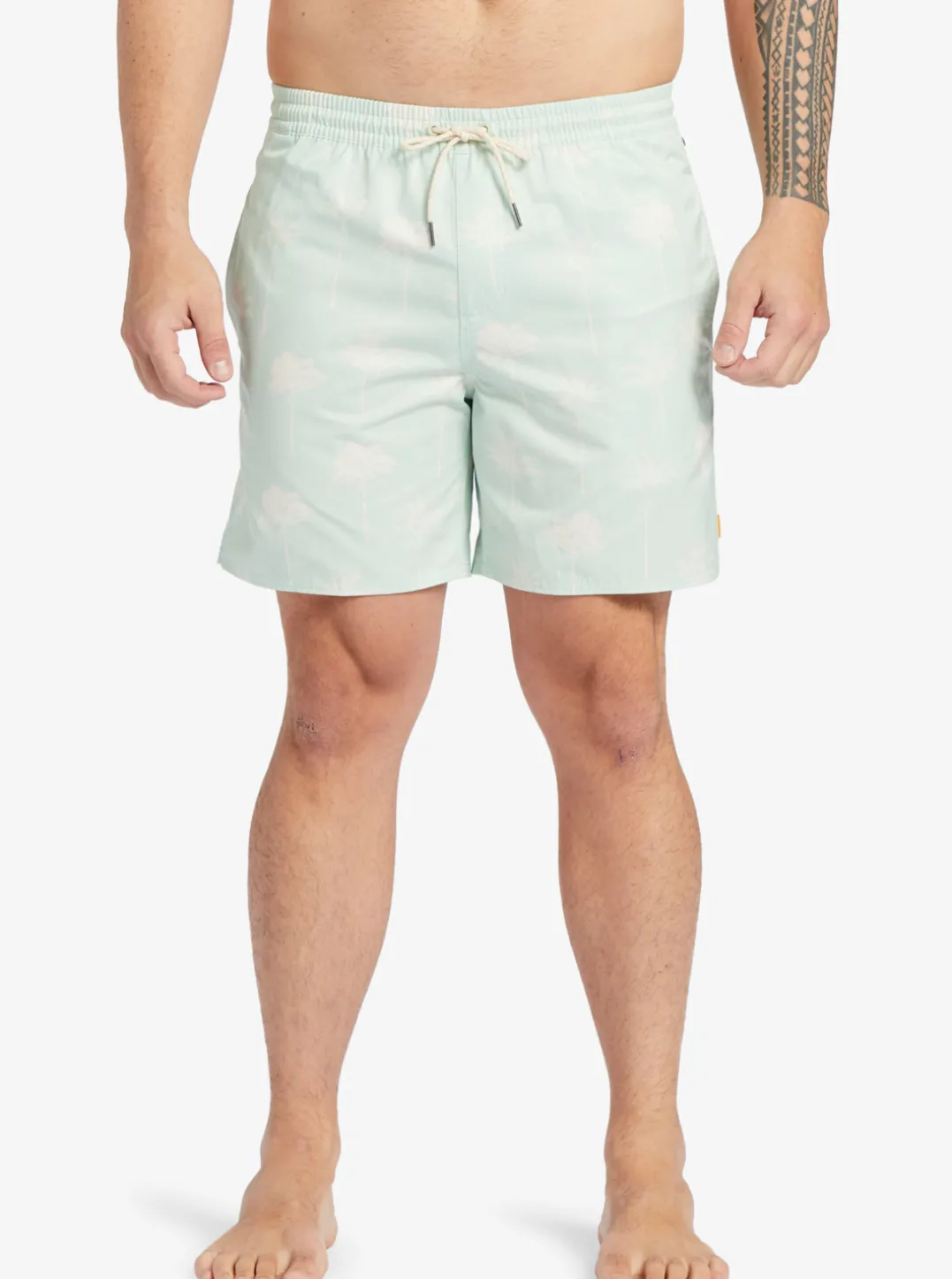 Mens Quiksilver Elastic Waist|Waterman Cliffside 17" Elastic Waist Shorts