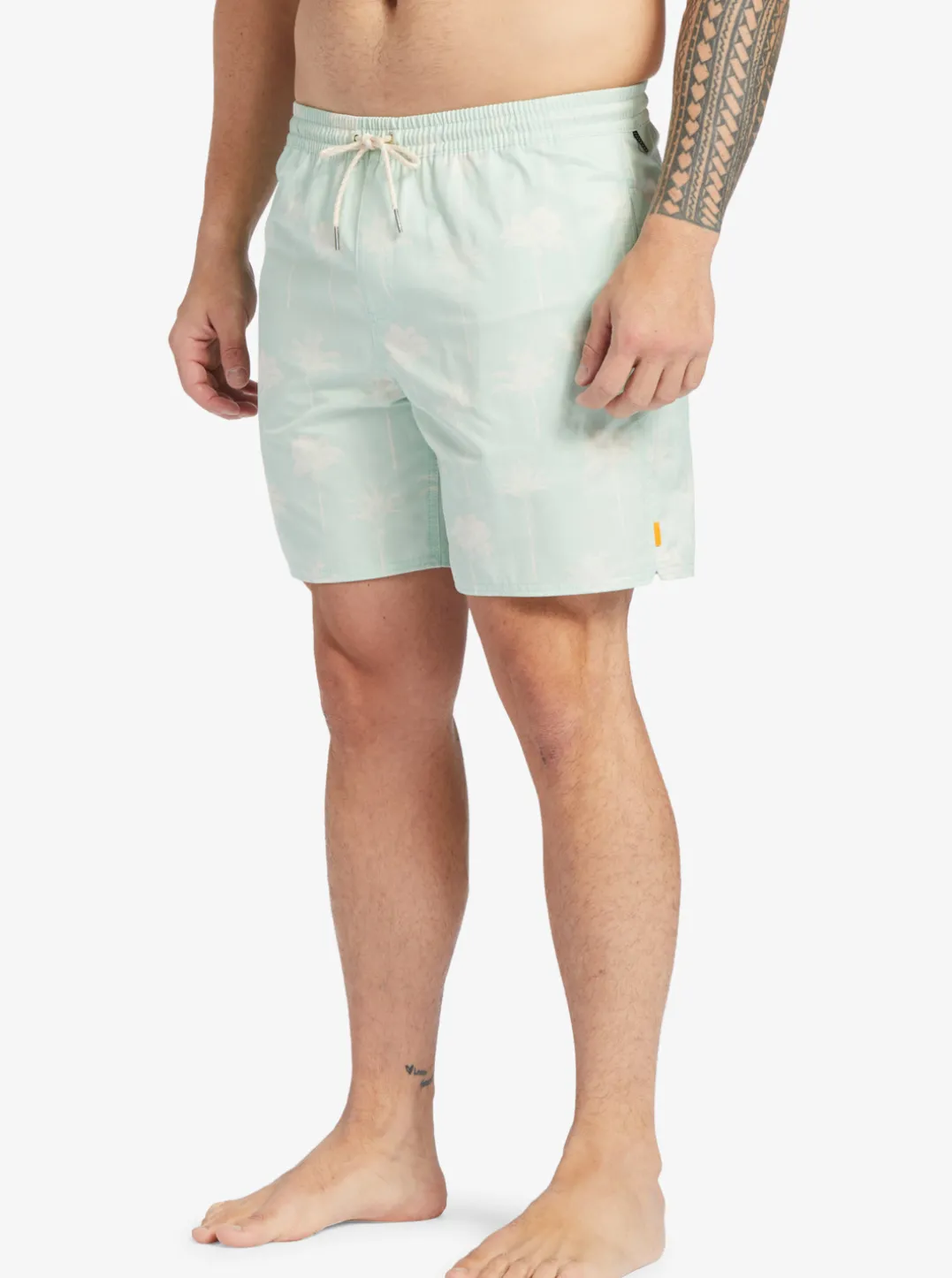 Mens Quiksilver Elastic Waist|Waterman Cliffside 17" Elastic Waist Shorts
