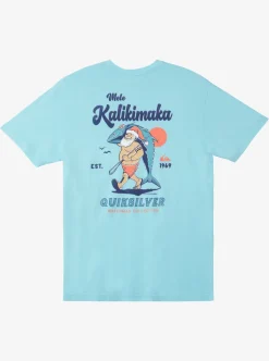 Mens Quiksilver Tees|Waterman Santa Qt-Shirt